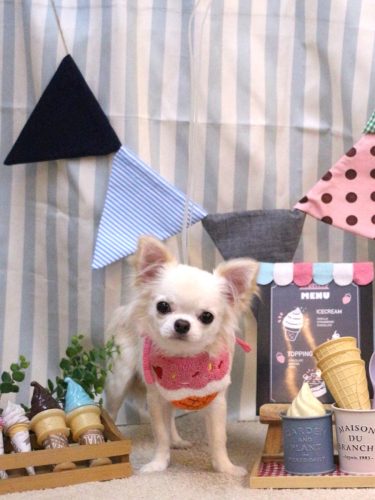 20250501リリィちゃん